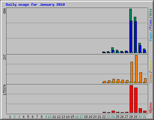 Daily usage for January 2010