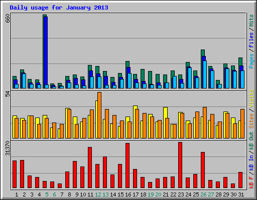 Daily usage for January 2013