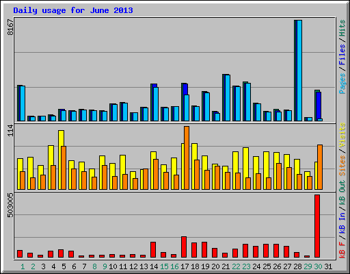 Daily usage for June 2013