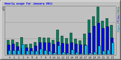 Hourly usage for January 2011