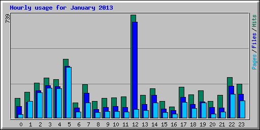 Hourly usage for January 2013